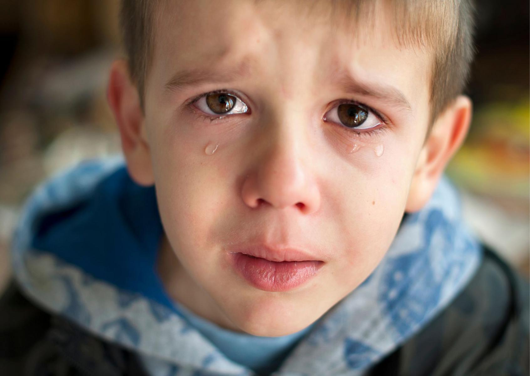 PILNIE POSZUKUJEMY RODZIN ZASTĘPCZYCH