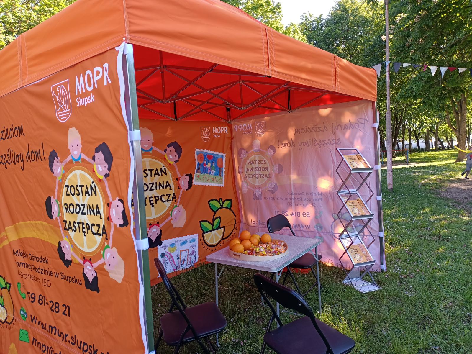 Promocja rodzicielstwa zastępczego w Przedszkolu Miejskim nr 31